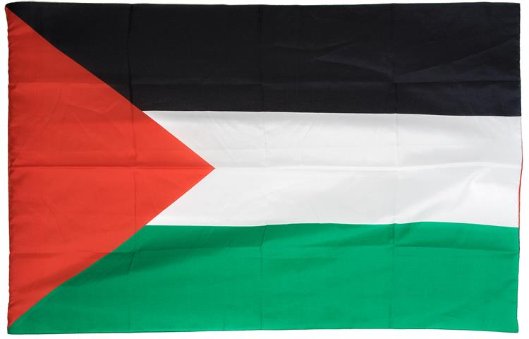  Bandiera Palestina 