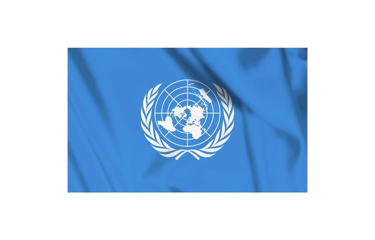  Bandiera ONU 