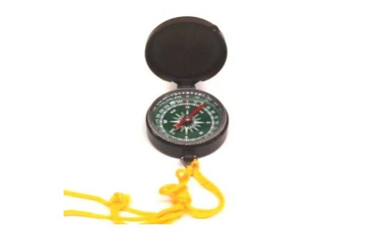 Virginia Bussola Virginia Virginia