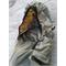 Giacca Termica Smock Lightweight Coyote Esercito Inglese  in Equipaggiamento