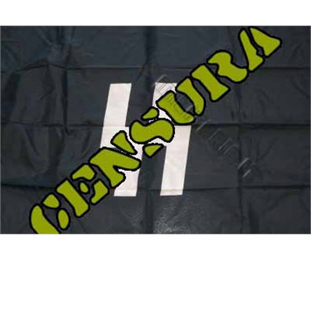Bandiera Ss
