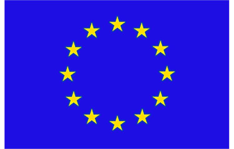  Bandiera Unione Europea 