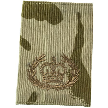 Warrant Officer Class 2