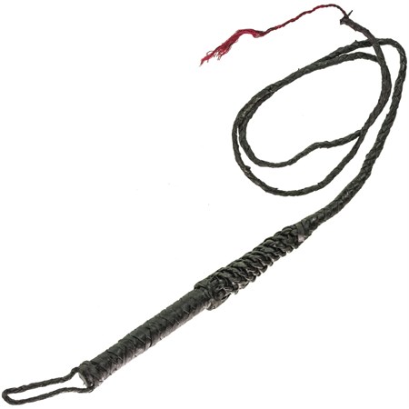 frusta in cuoio da domatore