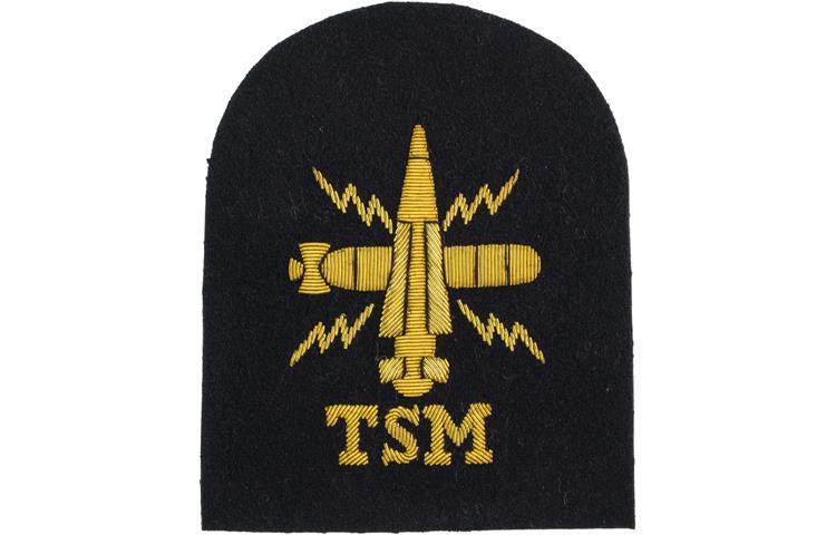  Submarine Tactical TSM Rank  