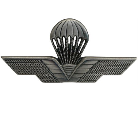 Brevetto Para Modello Grande