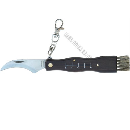 Coltellino Da Funghi