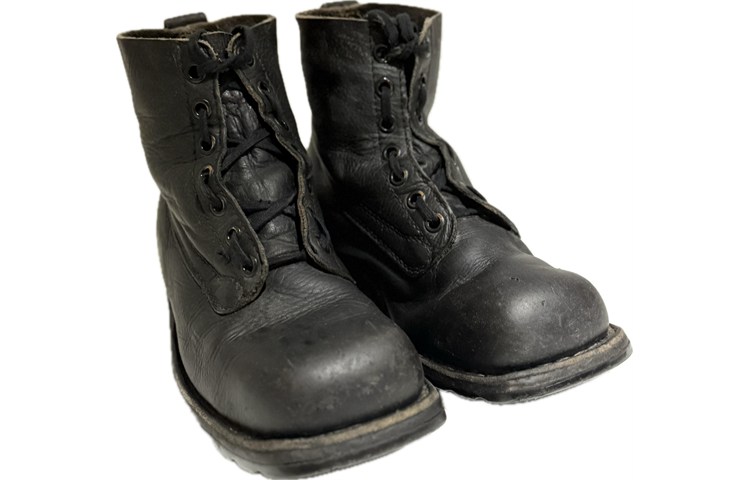  Scarponi Esercito Svedese 